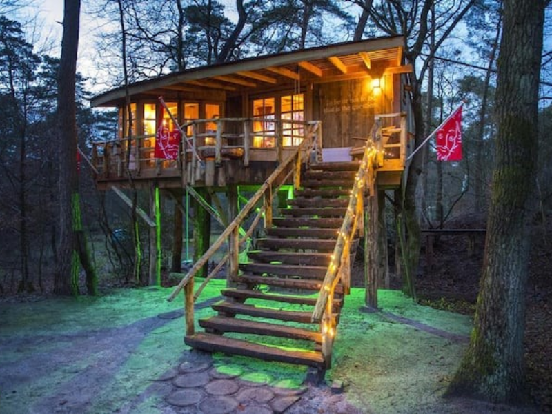 diervriendelijke airbnb in Drenthe